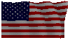 [The United States Flag]