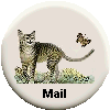 mom's mail