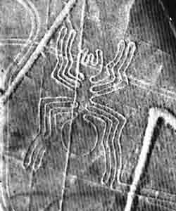 Geoglifo de la ara&ntilde;a