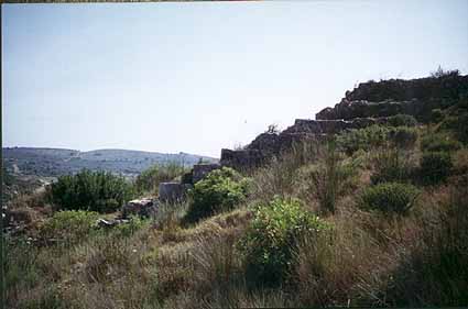 58moli12.jpg (16033 bytes)