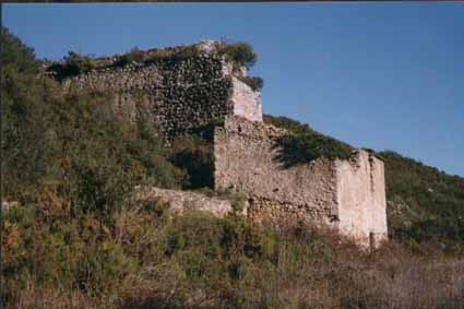 58moli34.jpg (15921 bytes)
