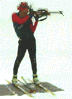 Link to Biathalon Page