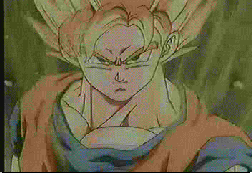 hgokou[1].gif (179756 bytes)