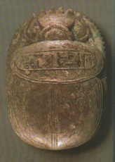 scarab