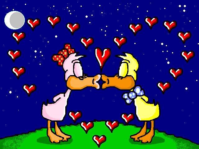 Duck´s Kiss