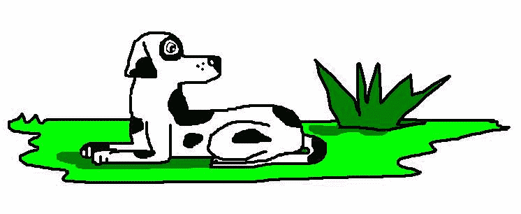 O Cachorro