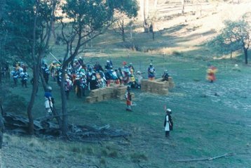 Defenders in the fort