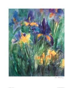 Mertens Iris