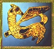 Fibula