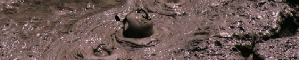 Boiling Mud