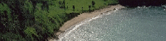 Photos from New Zealand