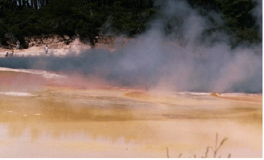 Champagne Pool