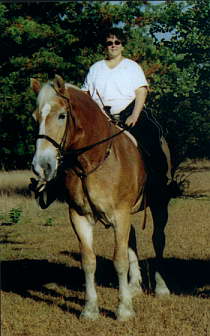 Sandy and Jed, the Fabio horse