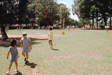 Grounds