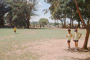 Grounds