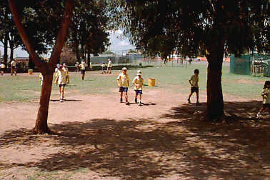 Grounds