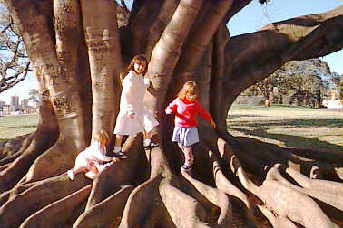 Botanical Gardens