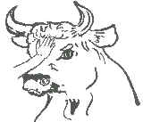 A bull with a hand on its head