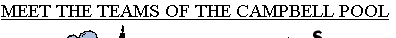 campbellpool001.gif