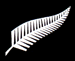 NZ Fern
