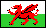 Welsh flag