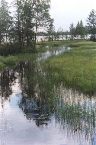 fil-16-rio-lago-fin.jpg (35817 bytes)