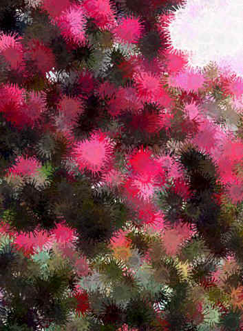 lucia-14-rododendro-1-babel.jpg (61785 bytes)