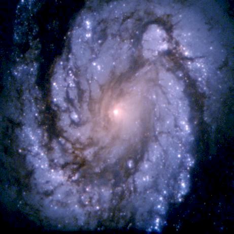 lucia-22-galaxia-m100.jpg (33786 bytes)