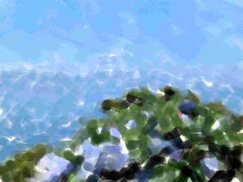 lucia-3-pico-hortensias.jpg (32095 bytes)