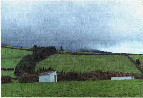 menu-lucia-1-azores.jpg (50494 bytes)