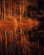San-Lee Park Mirror Image - Shot by Jon