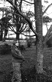 Shanell by the Walnut - Shot by Tay