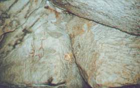 Detalle de la quinta c