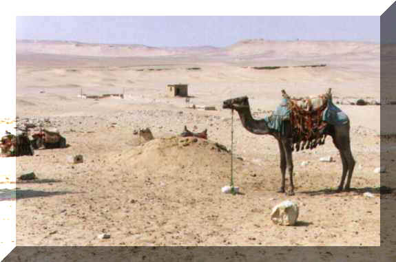 La peque�a casa del fondo, perdida en la soledad del desierto es la entrada al Serapeum.