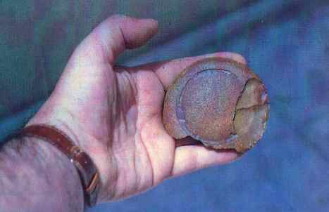 Impresi�n que un objeto circular ha dejado sobre una piedra previamente ablandada.