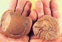 Piedras reblandecidas, una de ellas con el ojodehorus 