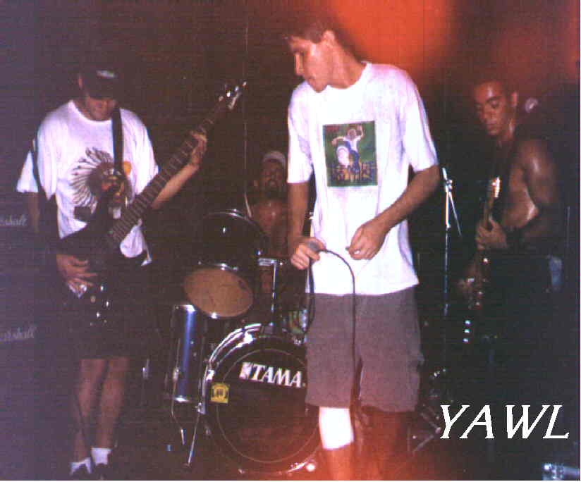 YAWL live!