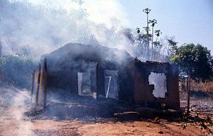 Picture of burned house