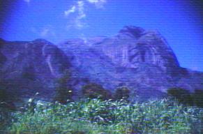 Picture of Mulange
