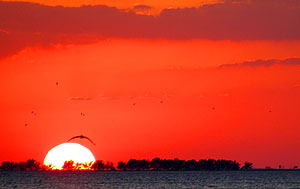Sunset over Sanibel Island