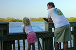 Searching for wild animals in the red mangrove backwaters of Ding Darling National Wildlife Refuge