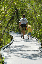 Hiking the Indigo Trail in Ding Darling National Wildlife Refuge