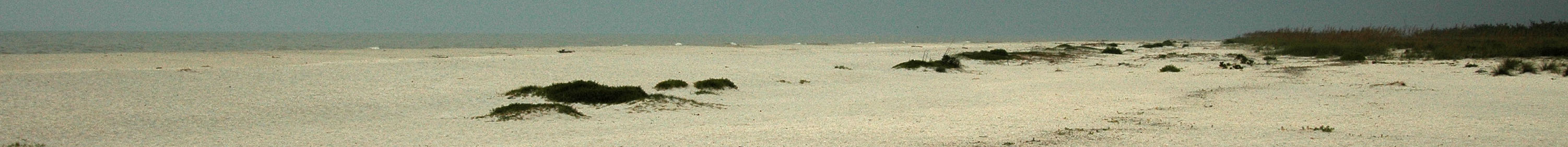 Bowman's Beach during an April storm