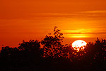 Sunset over the Ding Darling National Wildlife Refuge