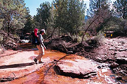 On the Brin's Mesa Trail