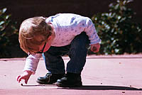 Collecting pebbles