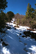 Snow on the Munds Mountain trail