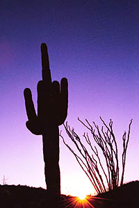 One last sunset north of Phoenix