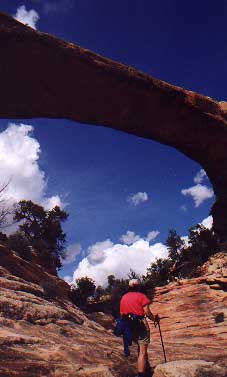 Natural Bridges National Monument