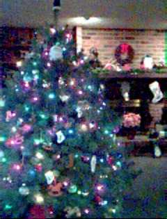 Our 2000 Christmas Tree